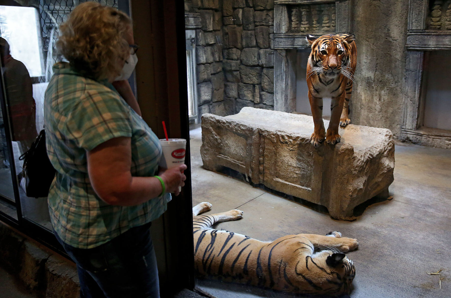 TULSA zoologijos sodas